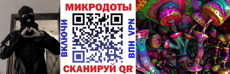 сколько стоит  Суджа  Псилоцибиновые грибы ЛСД 